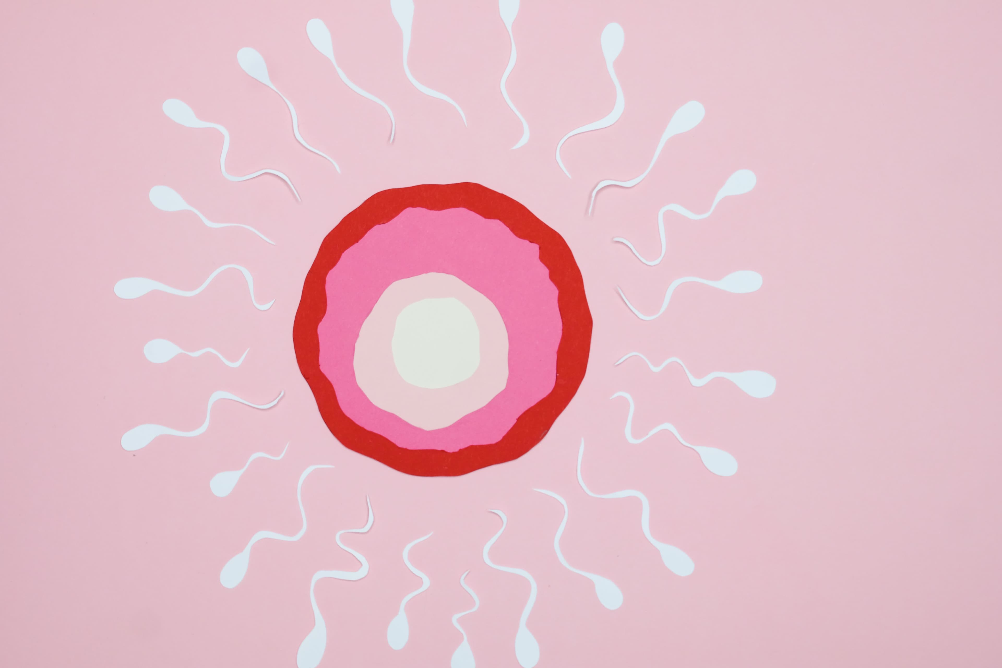 How to Calculate Your Fertile Days – Dr. Nana K’s Guide.